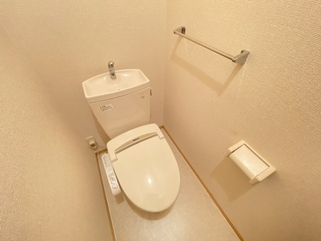 サル　ドセジュール