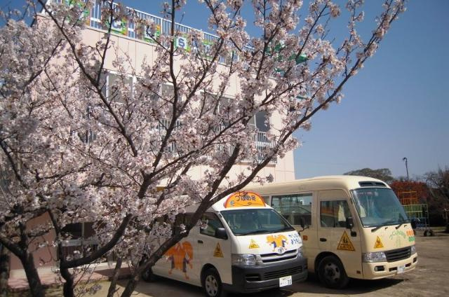 Ｇｒａｎｄ　ｐｕｒｅ（グランドピュア）の周辺|柏原幼稚園まで193ｍ