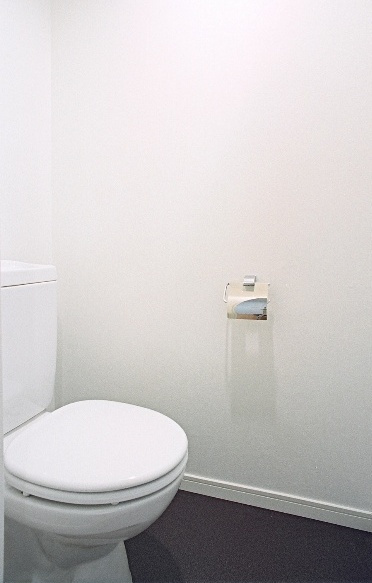 エンクレスト六本松Ⅱのトイレ|落ち着いた色調のトイレです