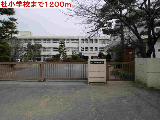 カモミールⅢ　Ａの周辺|社小学校まで1200m