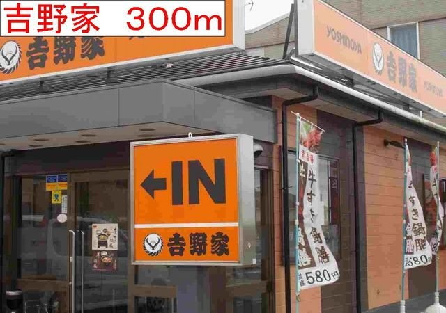 ミニョンラシーヌの周辺|吉野家まで300m
