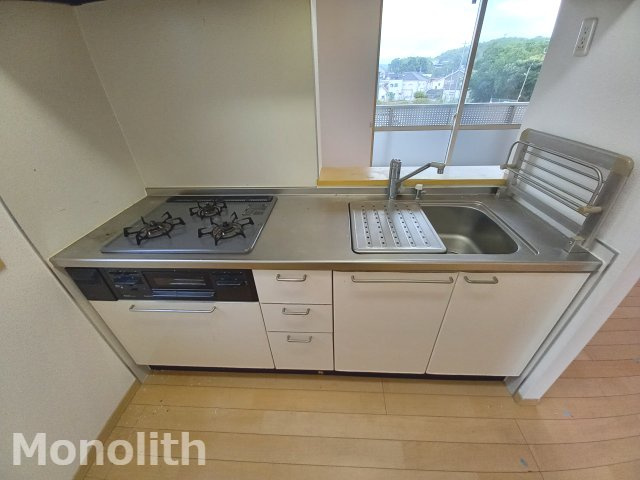 アナスタシア片蔵　のキッチン