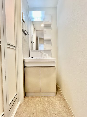 S-RESIDENCE堀田駅前futurの独立洗面台