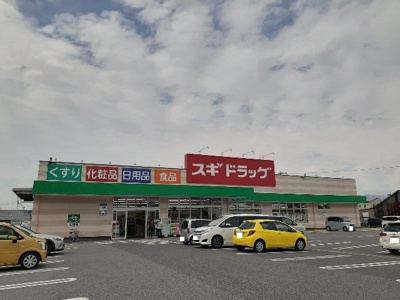 【周辺】 | スターチス | スギドラッグ長浜中央店様まで800m