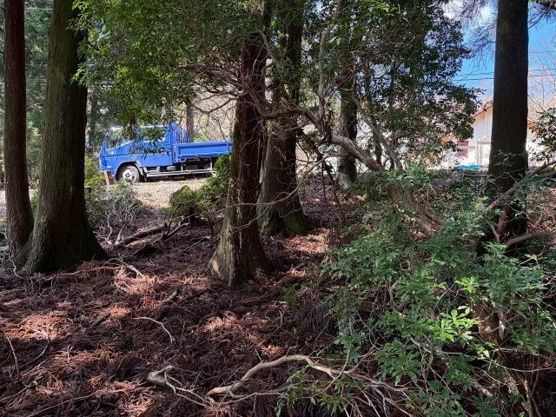 【外観】 | 東急天城高原別荘地　売地