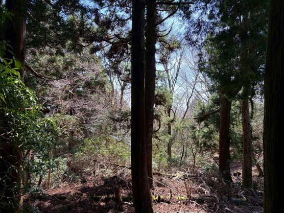 【外観】 | 東急天城高原別荘地　売地