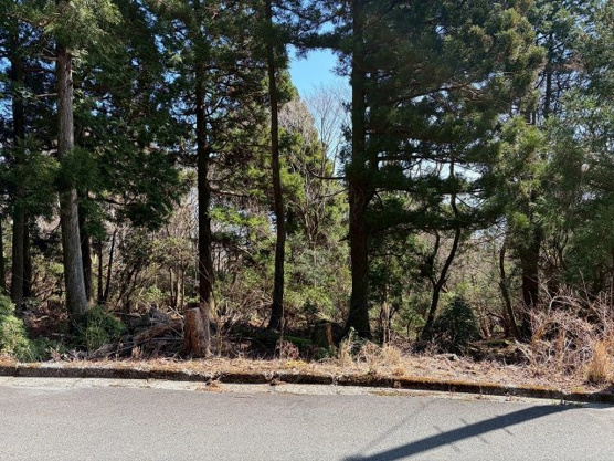 【外観】 | 東急天城高原別荘地　売地