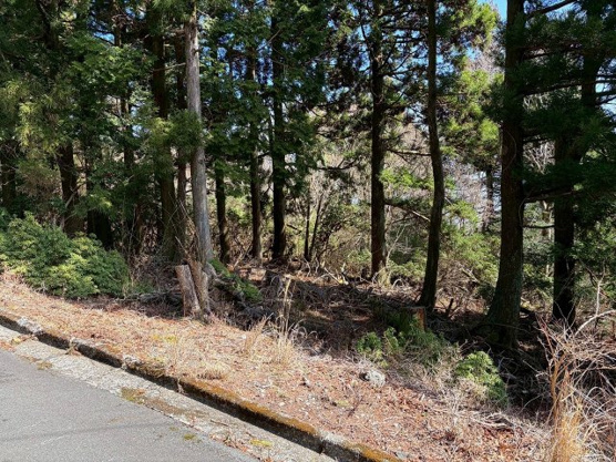 【外観】 | 東急天城高原別荘地　売地