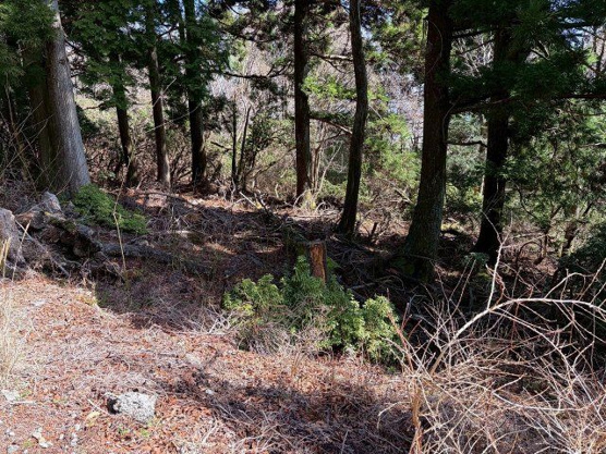 【外観】 | 東急天城高原別荘地　売地