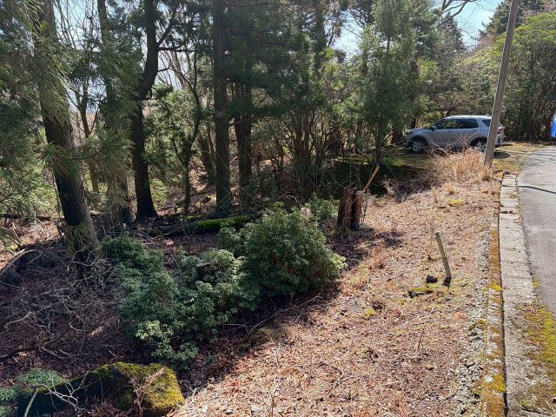 【外観】 | 東急天城高原別荘地　売地