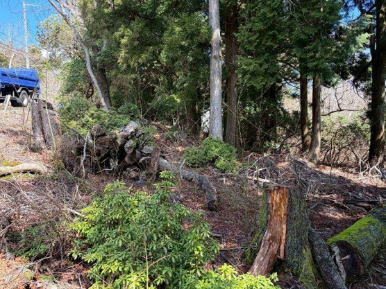 【外観】 | 東急天城高原別荘地　売地