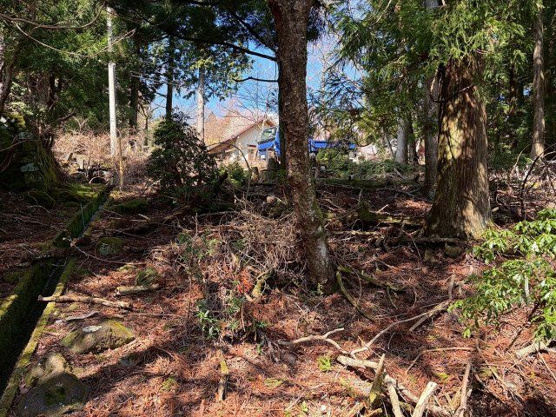 【外観】 | 東急天城高原別荘地　売地