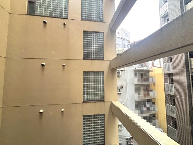 ダイアパレス新神戸の展望