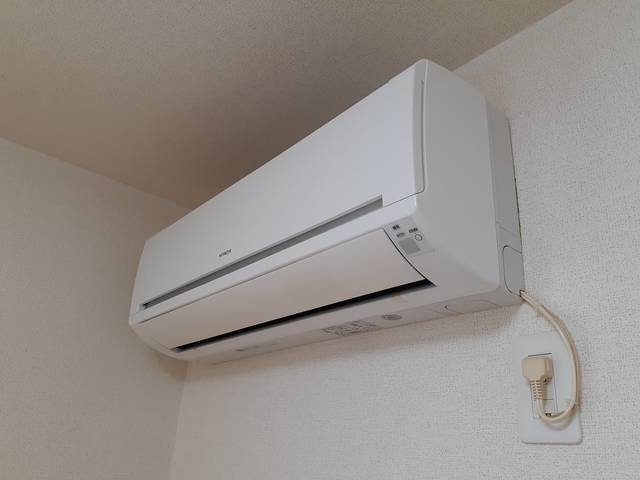 デイジーの設備
