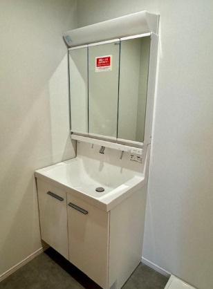 トラスティ野田通の洗面所