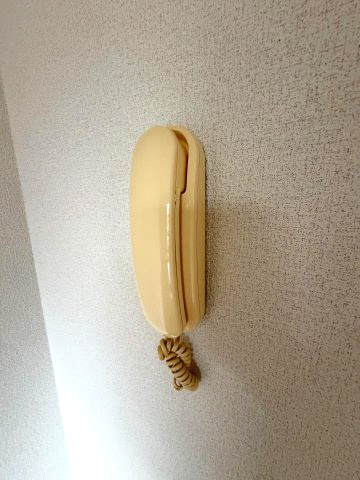 【セキュリティ】