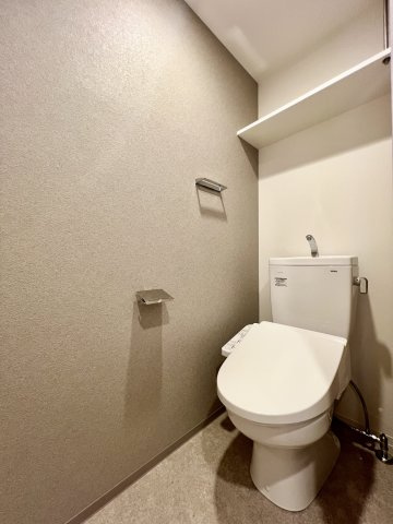 S-RESIDENCE堀田駅前futurのトイレ