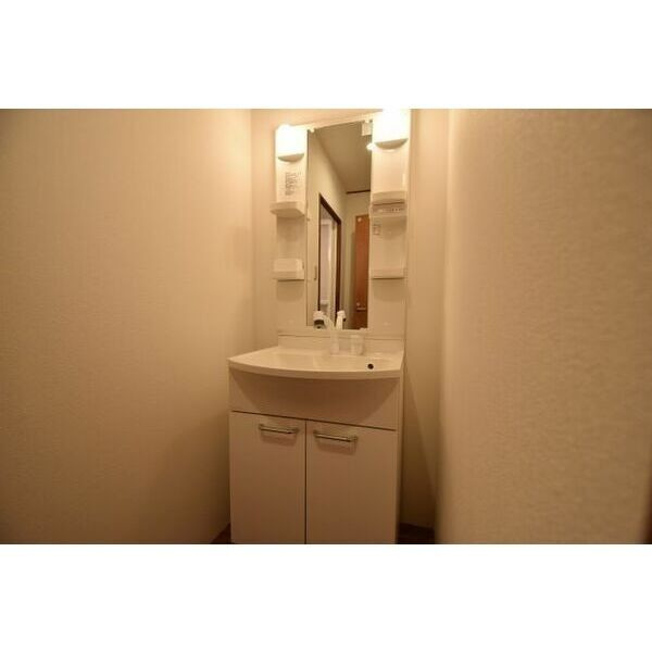 谷八木戸建貸家の独立洗面台