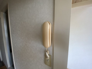 【セキュリティ】