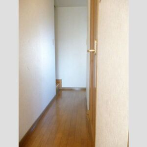 DUPLEX 国王30Aのその他