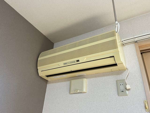 プラシードの設備