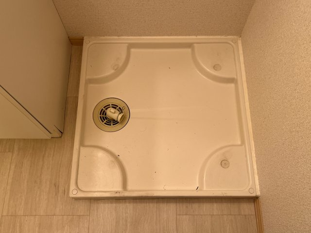 プラシードのその他