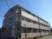 ローテ・ローゼの画像