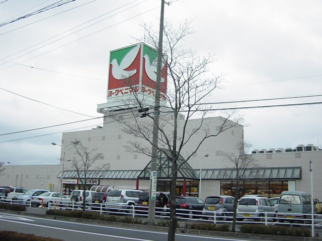 サン・パレスの周辺|ヨークベニマル西川店まで1,120ｍ