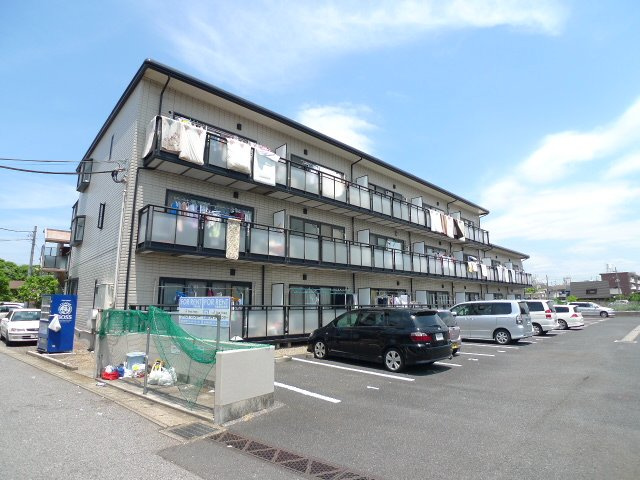 ハイネス