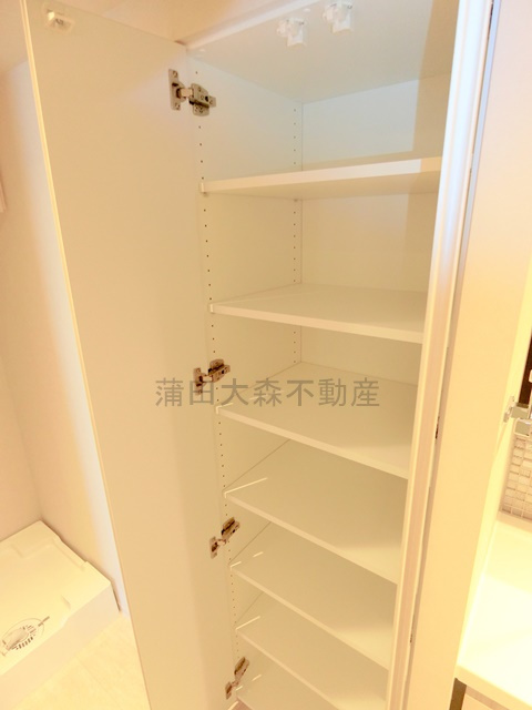 シーズンフラッツ大森西の収納|洗面所収納