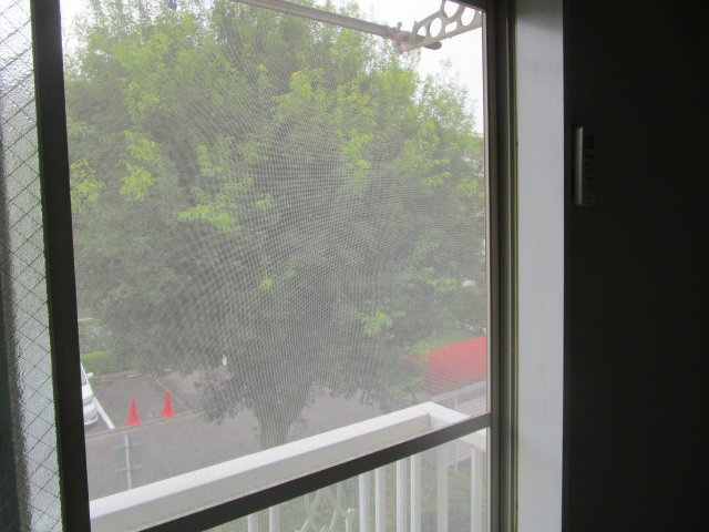 【展望】 | フリーゲンハイム