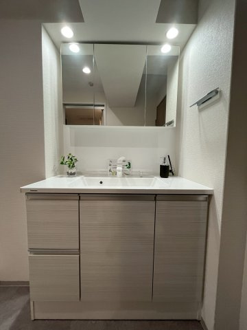 【独立洗面台】 | ハイネスプリモール城東 | 物の出し入れがしやすい引き出し収納付きの独立洗面台。