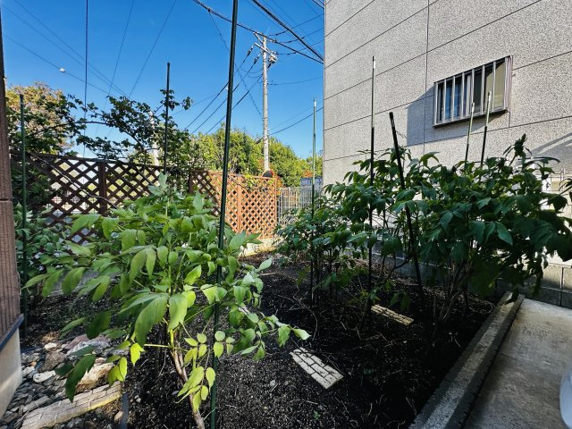 伊勢原市白根　中古戸建の庭