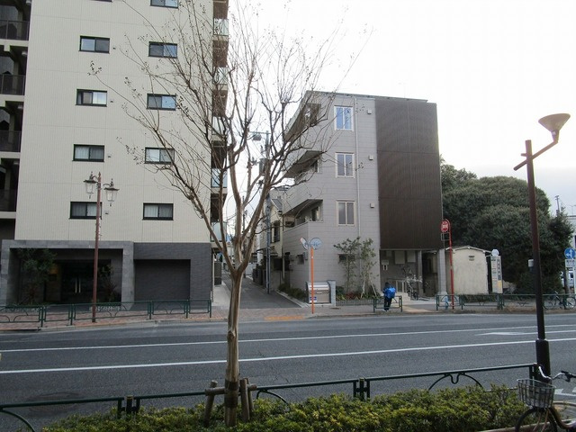 エストの展望