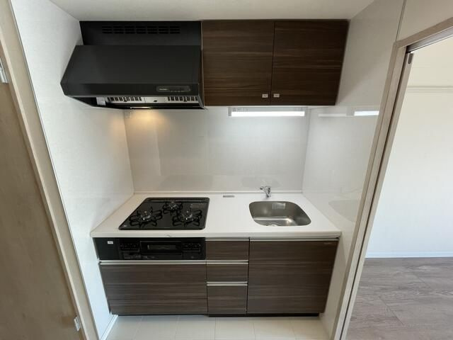 ＴＨＥ　ＡＲＣＴＵＲＵＳ　ＳＰＩＣＡのキッチン