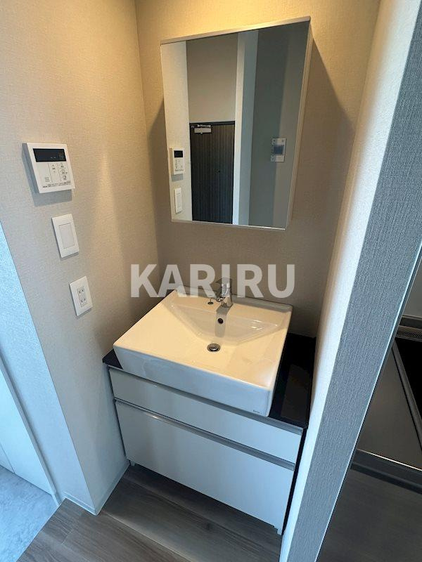 ブリリアントコートクラージュの洗面所