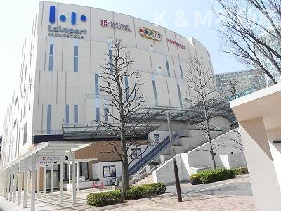 シティハイツ駒木台のその他|ららぽーと柏の葉まで1,900m 