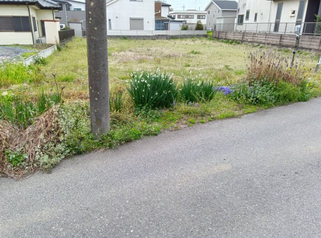 栃木市沼和田町