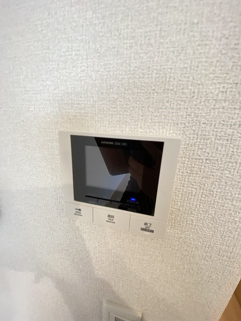 ヴェラ　ロホのセキュリティ