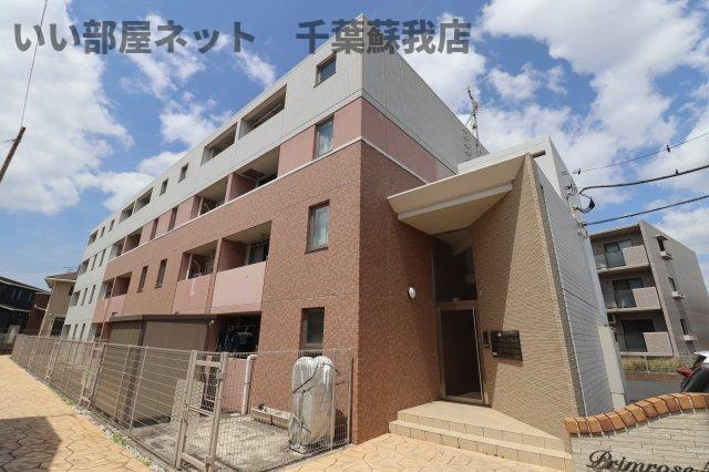プリムローズ５１