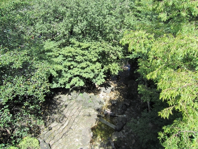 ルフォンプログレ滝野川のその他|音無緑地