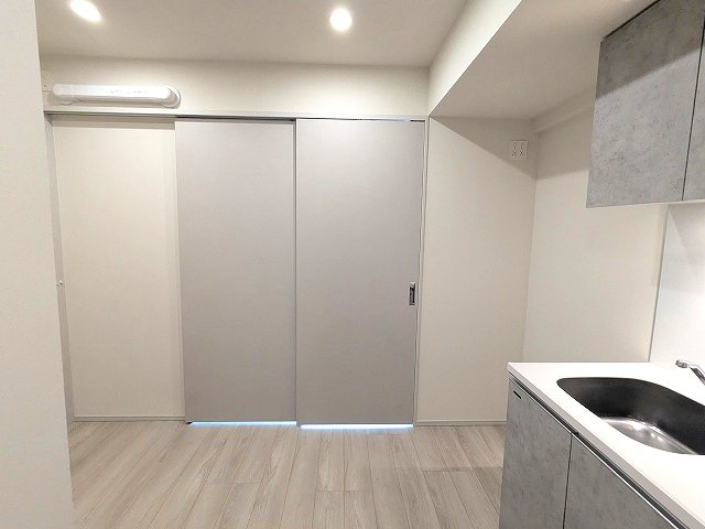 CLARITIA ASAKUSAの設備|DKにダウンライト付き