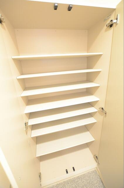 川崎市多摩区宿河原２丁目の賃貸マンションの収納