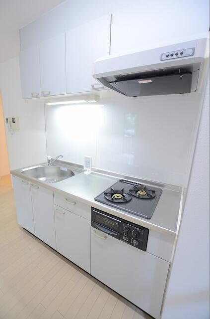 川崎市多摩区宿河原２丁目の賃貸マンションのキッチン