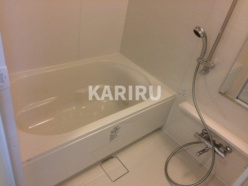 セイワパレス玉造駅前の浴室