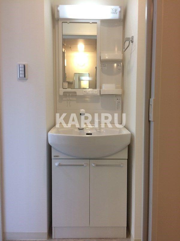 セイワパレス玉造駅前の洗面所