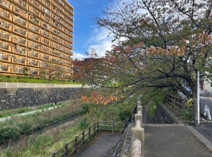 埼玉県川口市青木2丁目の画像