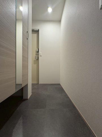 Ｄ-ｒｅｓｉｄｅｎｃｅ南茨木Ⅱの玄関|イメージ写真