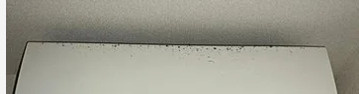 大塚ハウスのその他