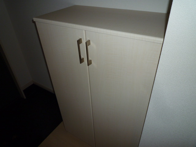 ＦＬＯＷＥＲ　ＬＯＡＤ　３２５の内装|シューズボックス